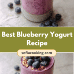 The Ultimate Blueberry Yogurt Delight: A Recipe You Can't Resist