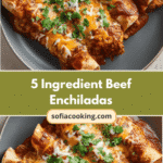 Easy and Delicious 5 Ingredient Beef Enchiladas You’ll Love